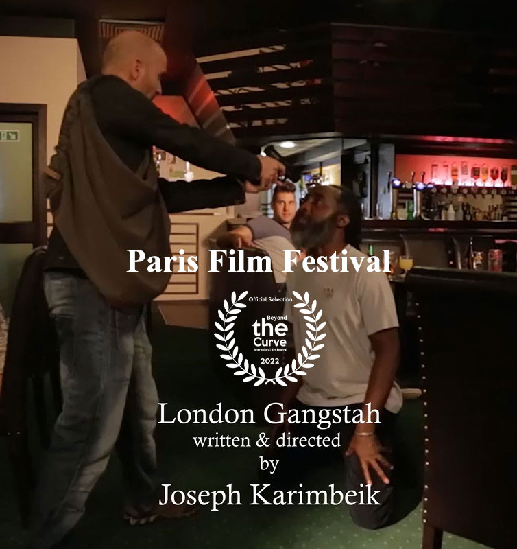 Paris Film Festival
